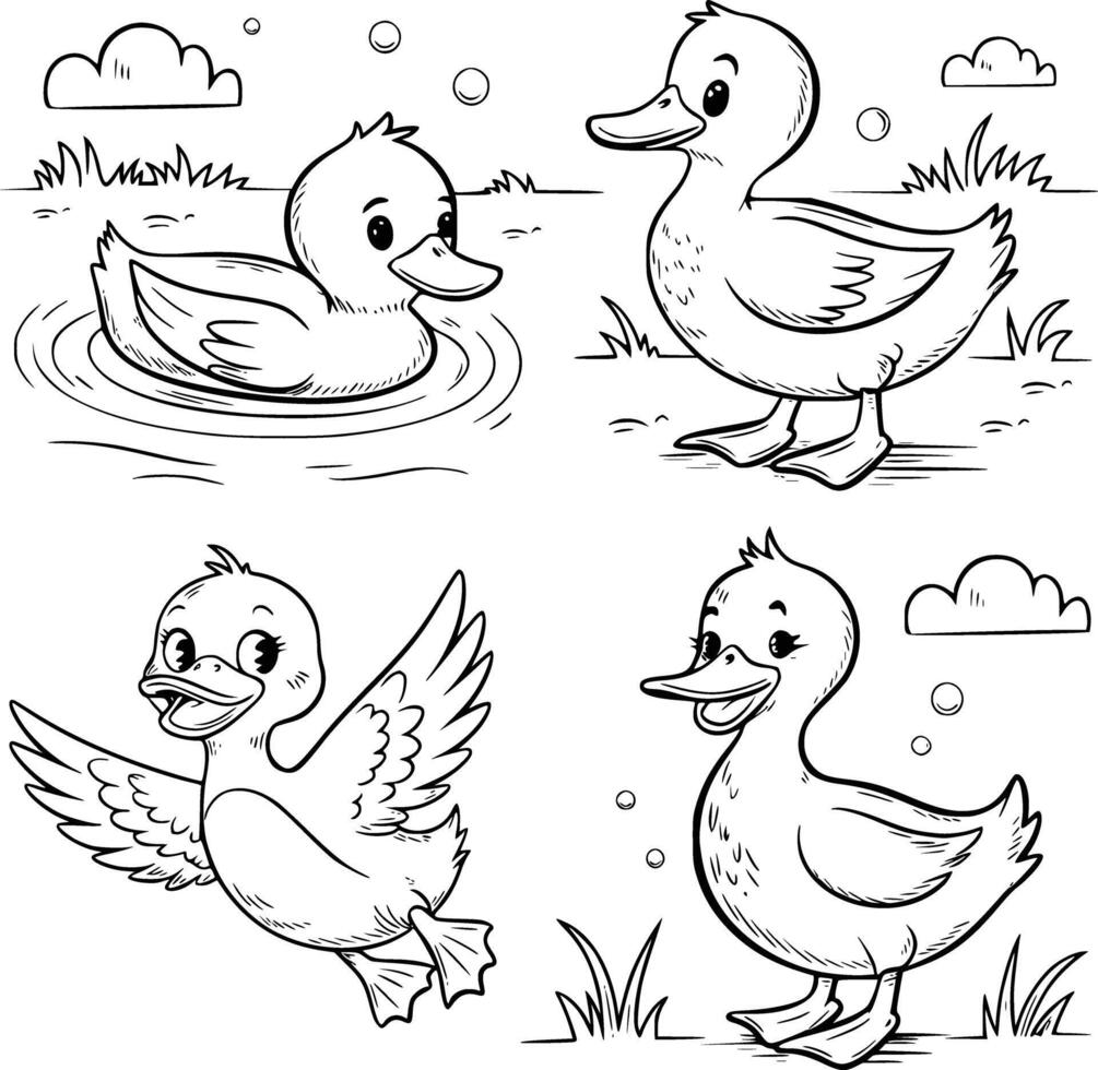 Four ducklings coloring pages vector