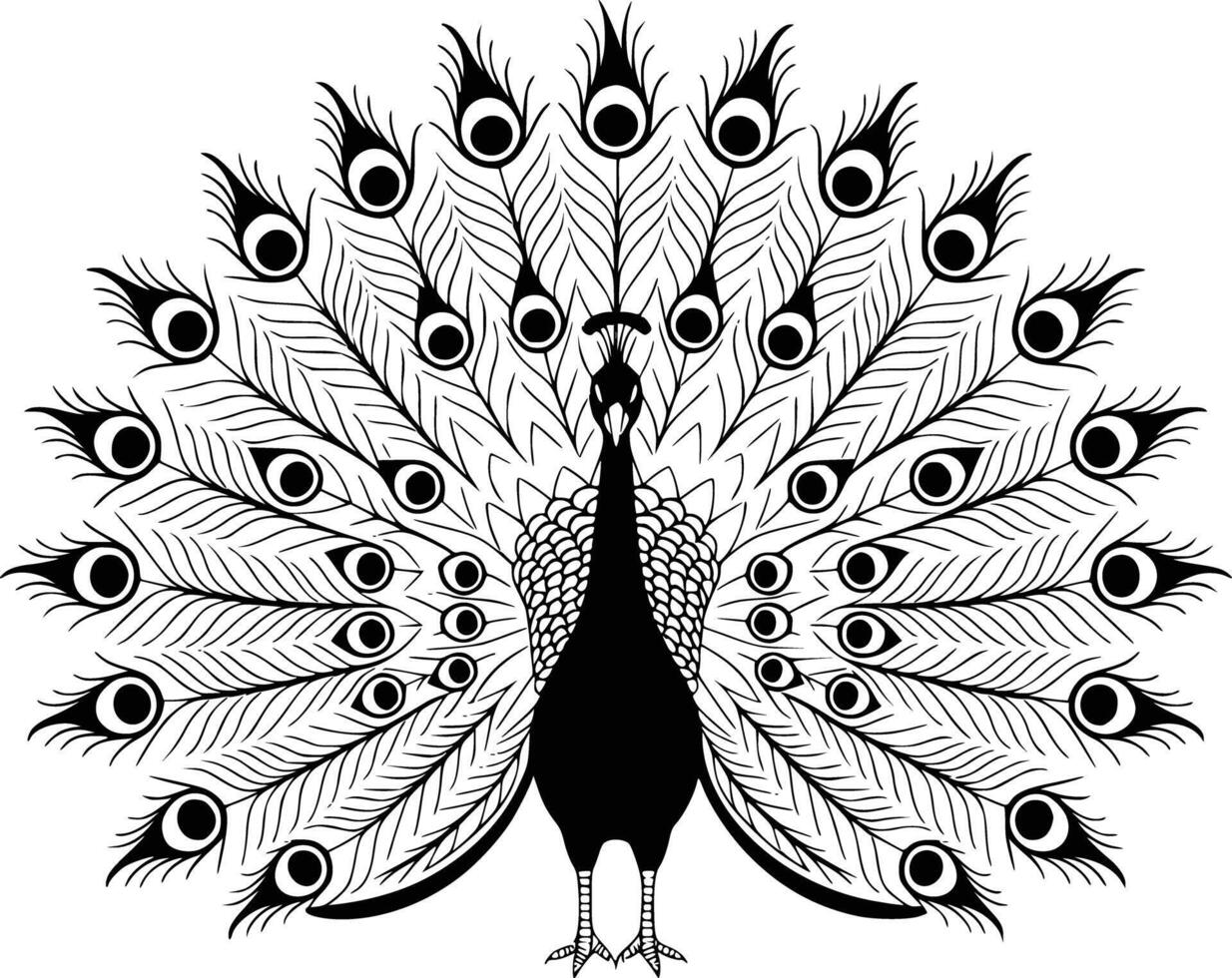 A peacock with feathers on its back vector