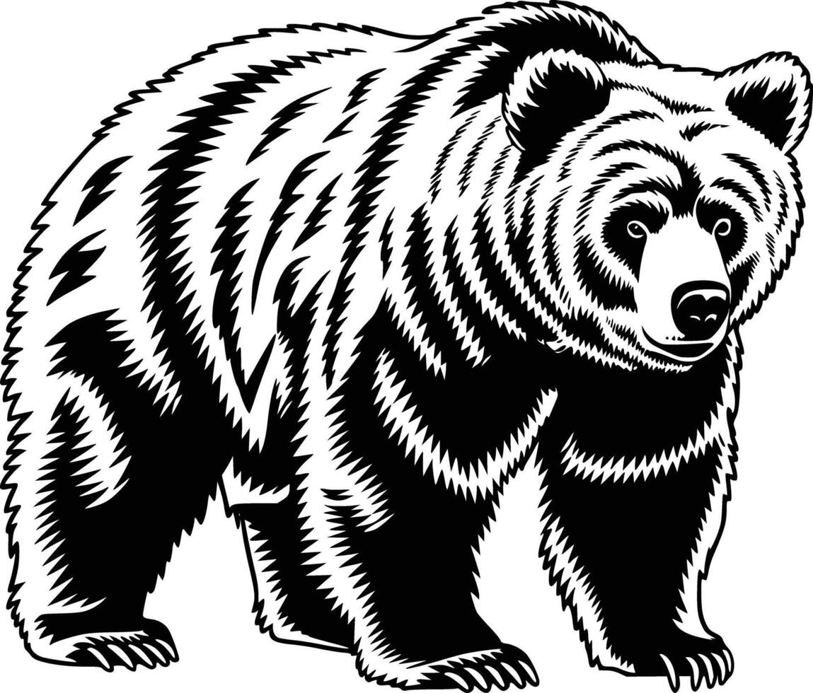 black and white bear on a white background vector