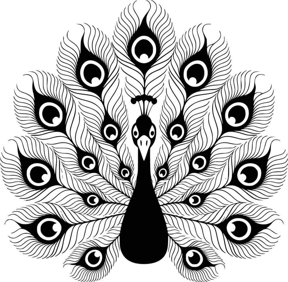 A peacock with feathers on a white background vector
