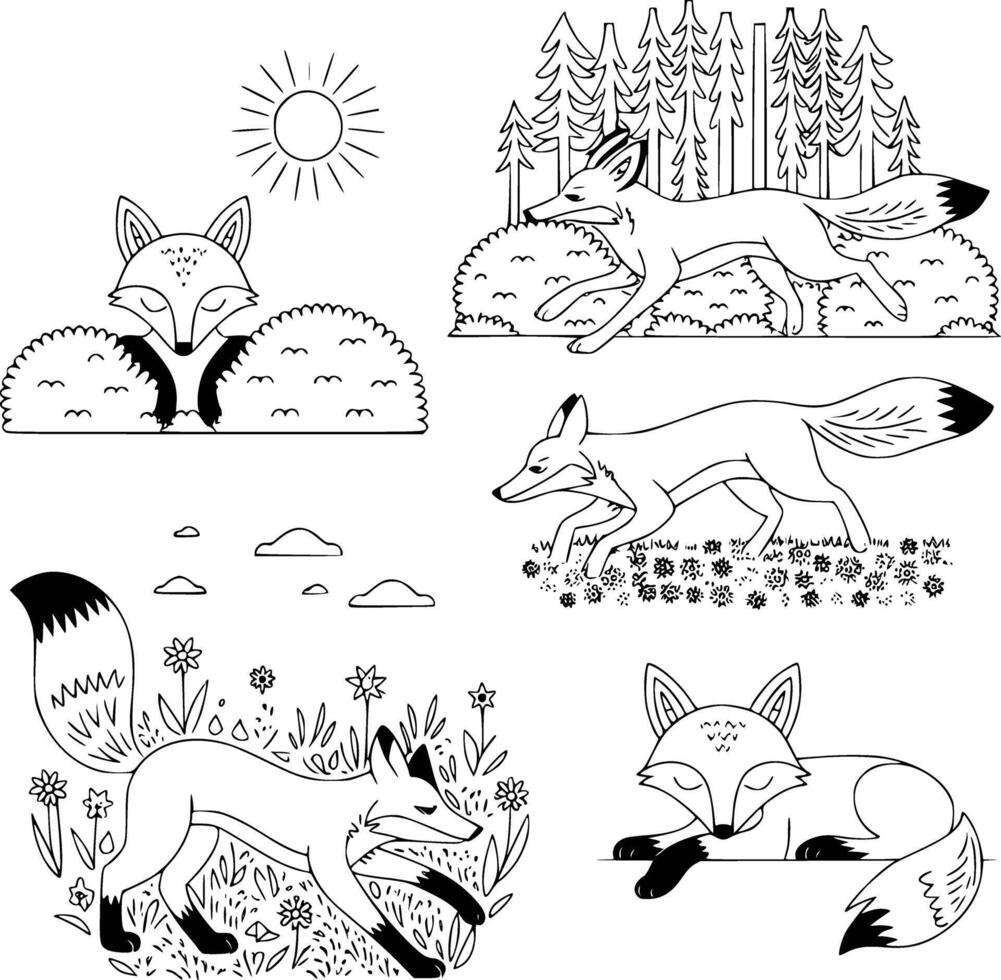 Foxes in the forest illustration vector