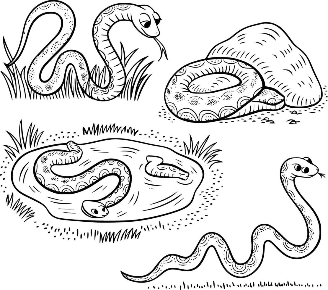 Snakes coloring pages for kids vector