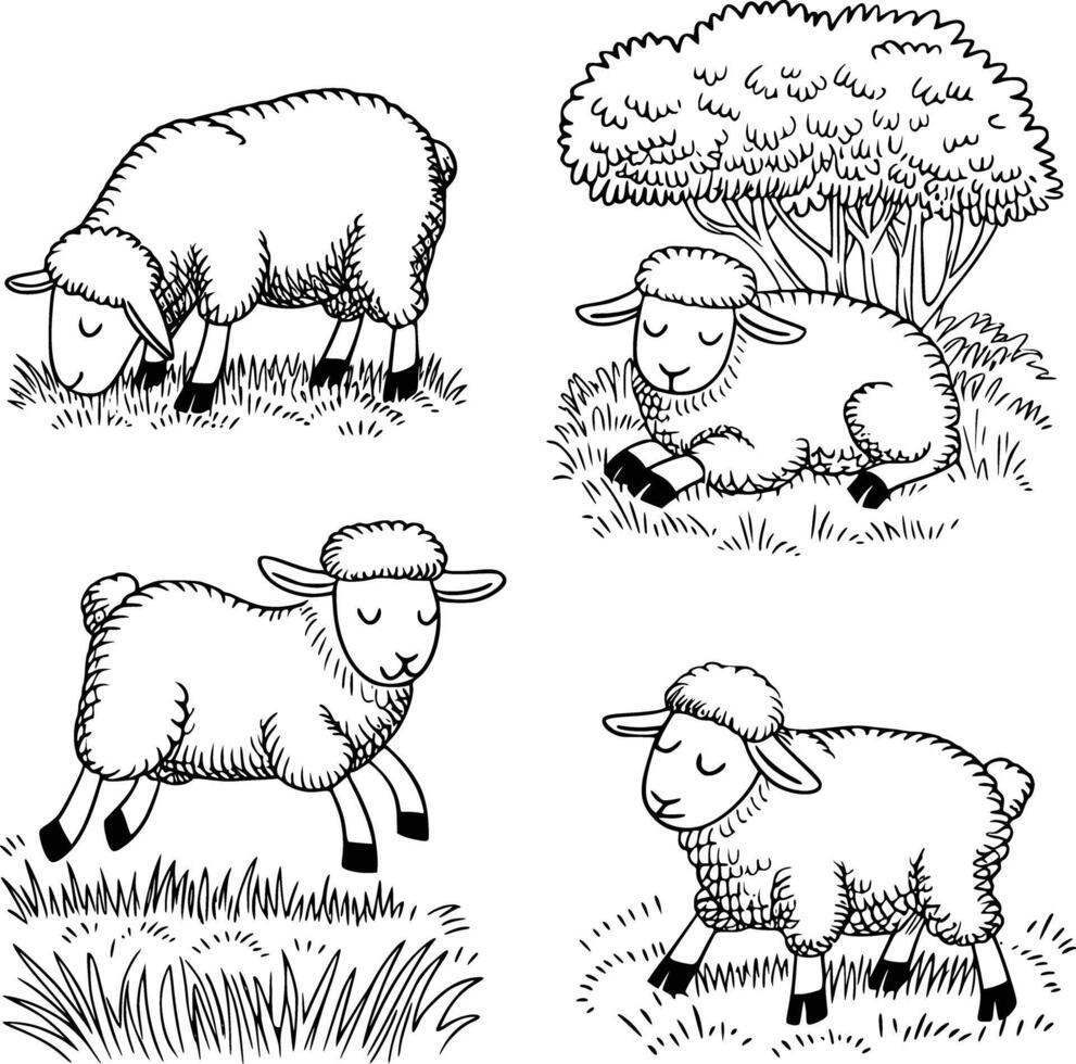 Four sheep in the grass vector