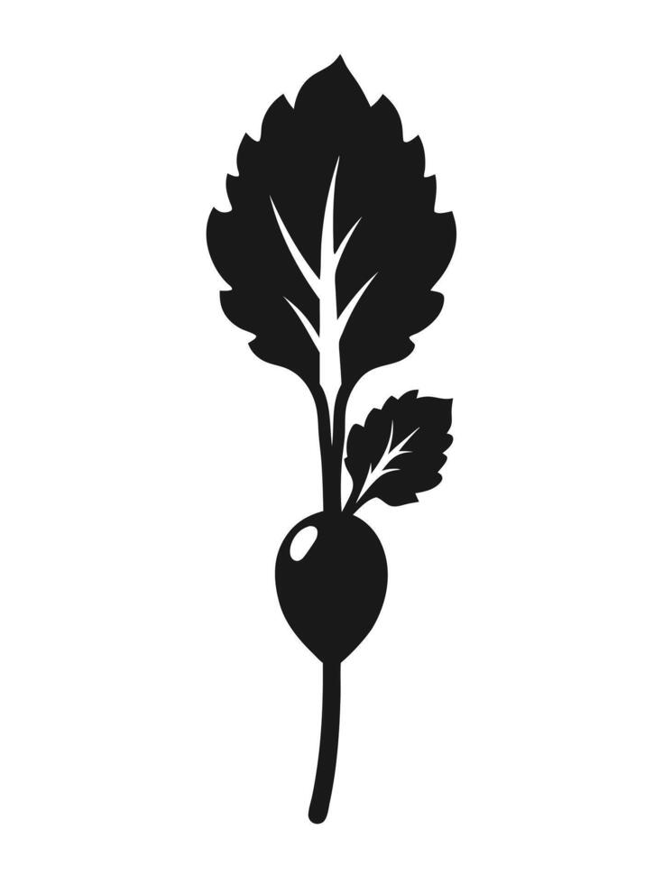 Black And White Beet Illustration vector