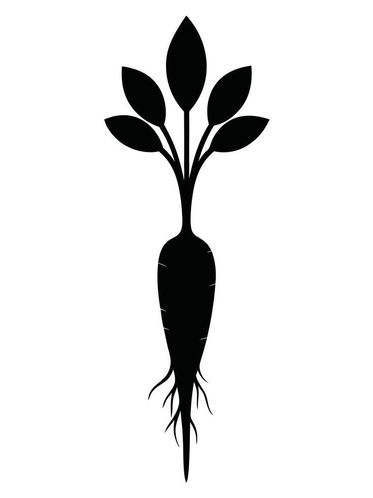 Beetroot Plant Isolated Black Silhouette vector