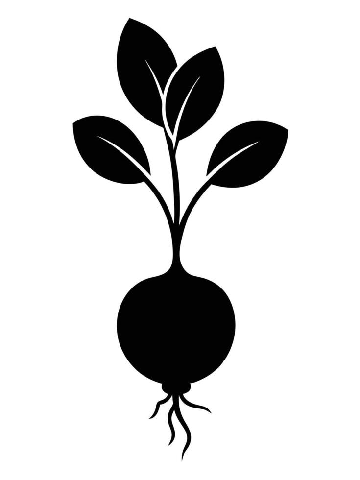 Beetroot Plant Black And White Icon vector