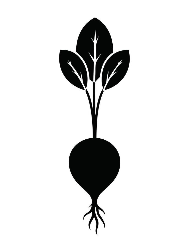 Beetroot Vegetable Black Simple Graphic vector
