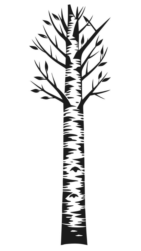 Birch Tree Illustration Silhouette Style vector