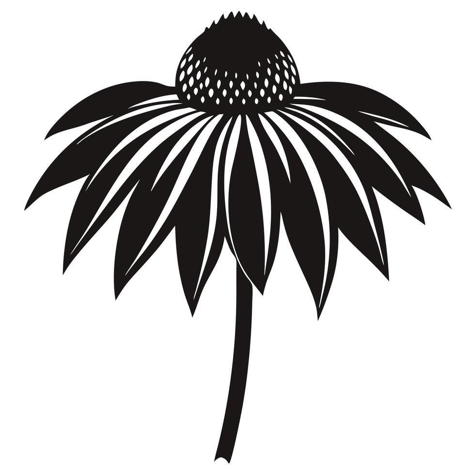 Black And White Coneflower Illustration vector