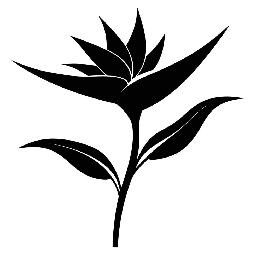 Bird Of Paradise Flower Silhouette vector