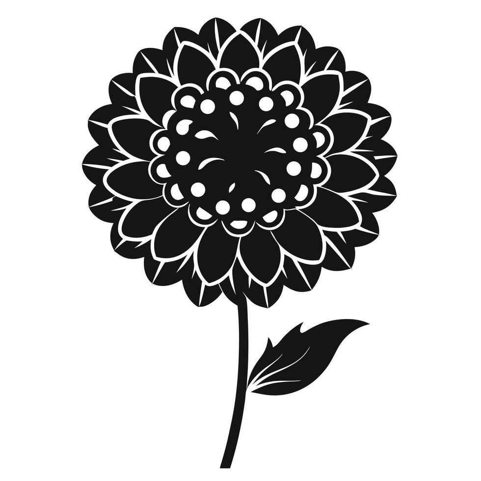 Black And White Dahlia Illustration vector