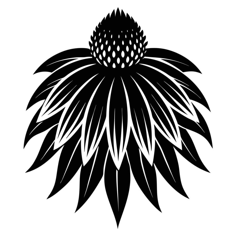 Black And White Echinacea Flower vector
