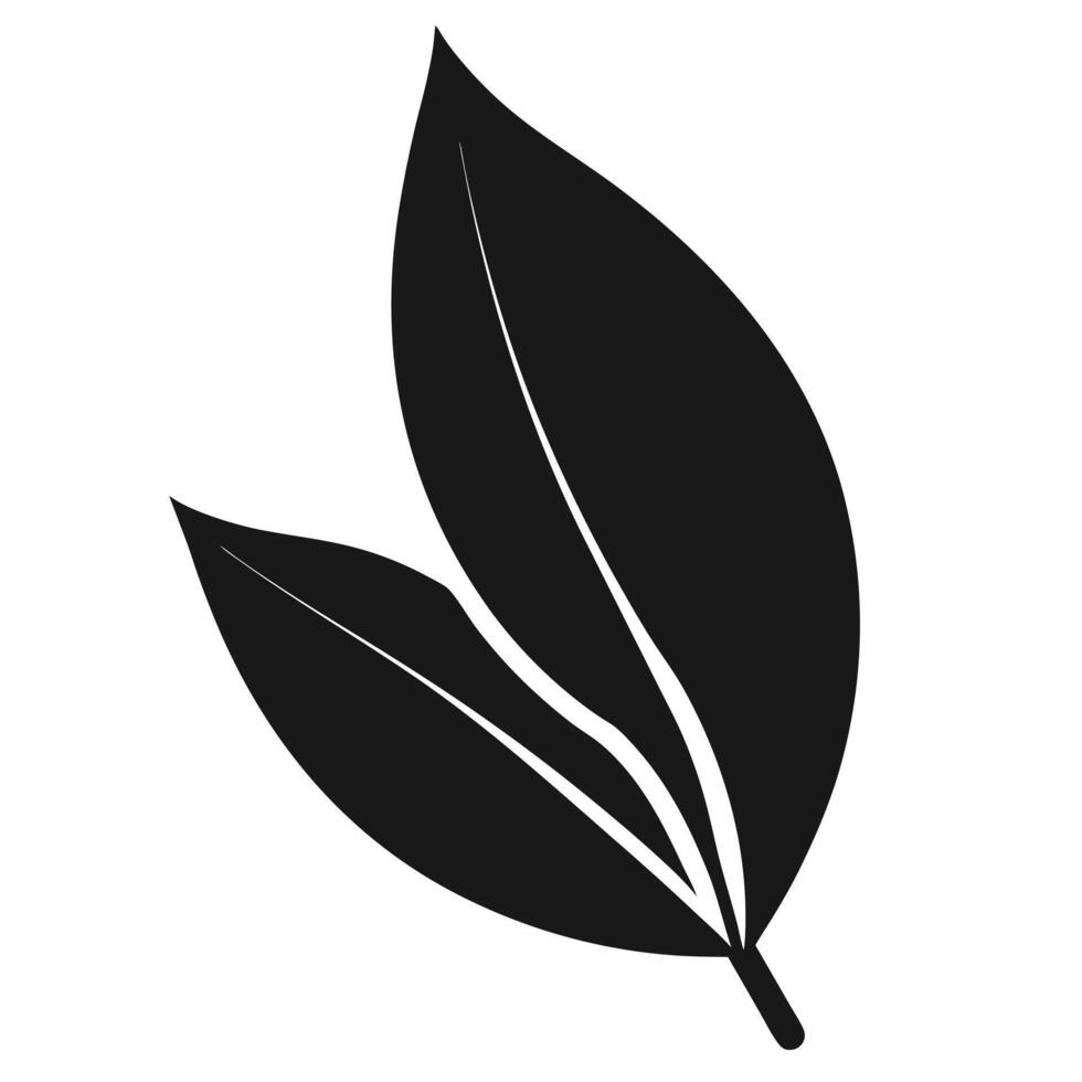 Black And White Leaves Graphic vector