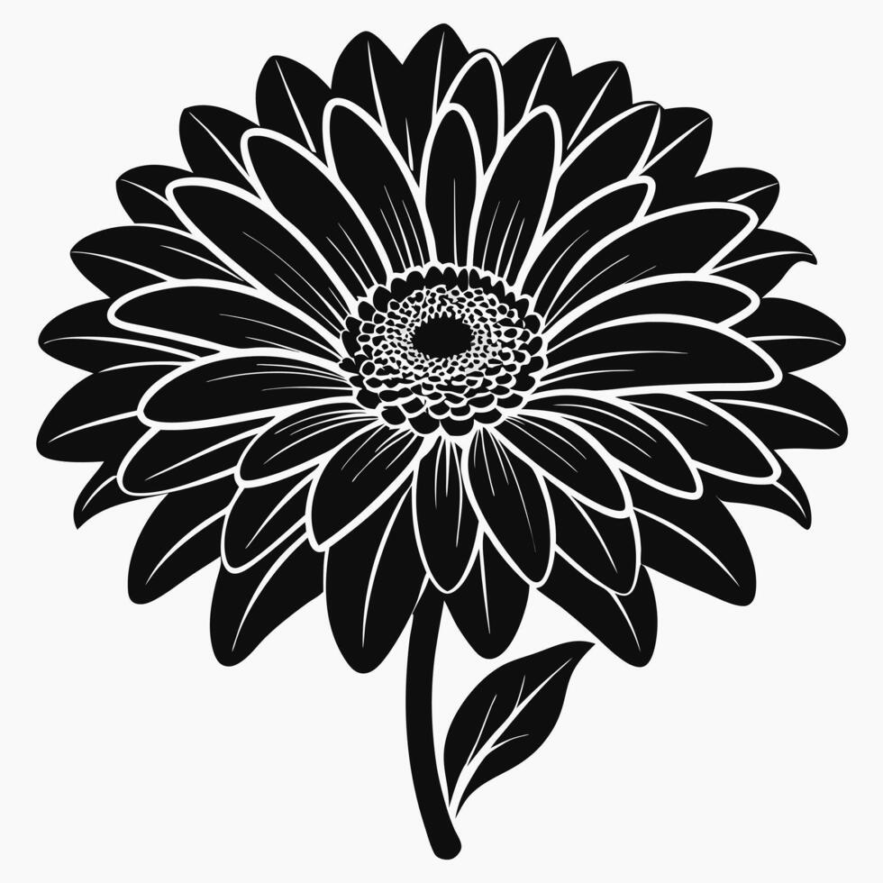 Black And White Gerbera Daisy vector