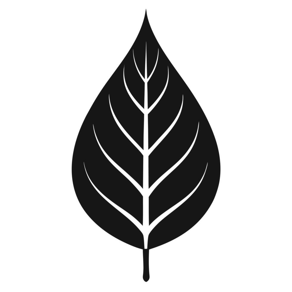 Black Leaf Veins Simple Image vector