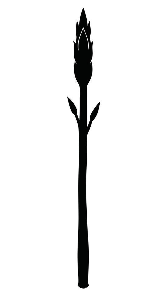 Black Silhouette Of Asparagus Spear vector
