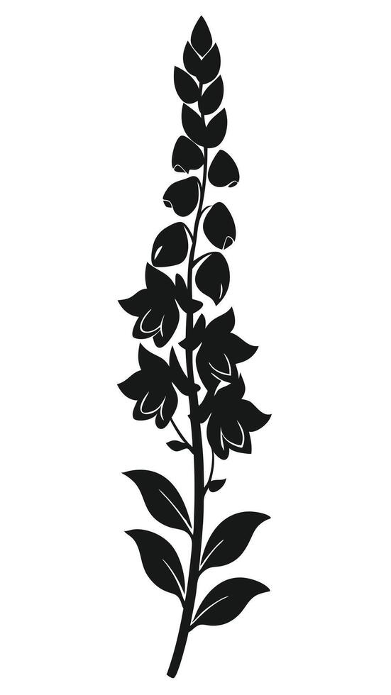 Black Floral Silhouette Foxglove Plant vector