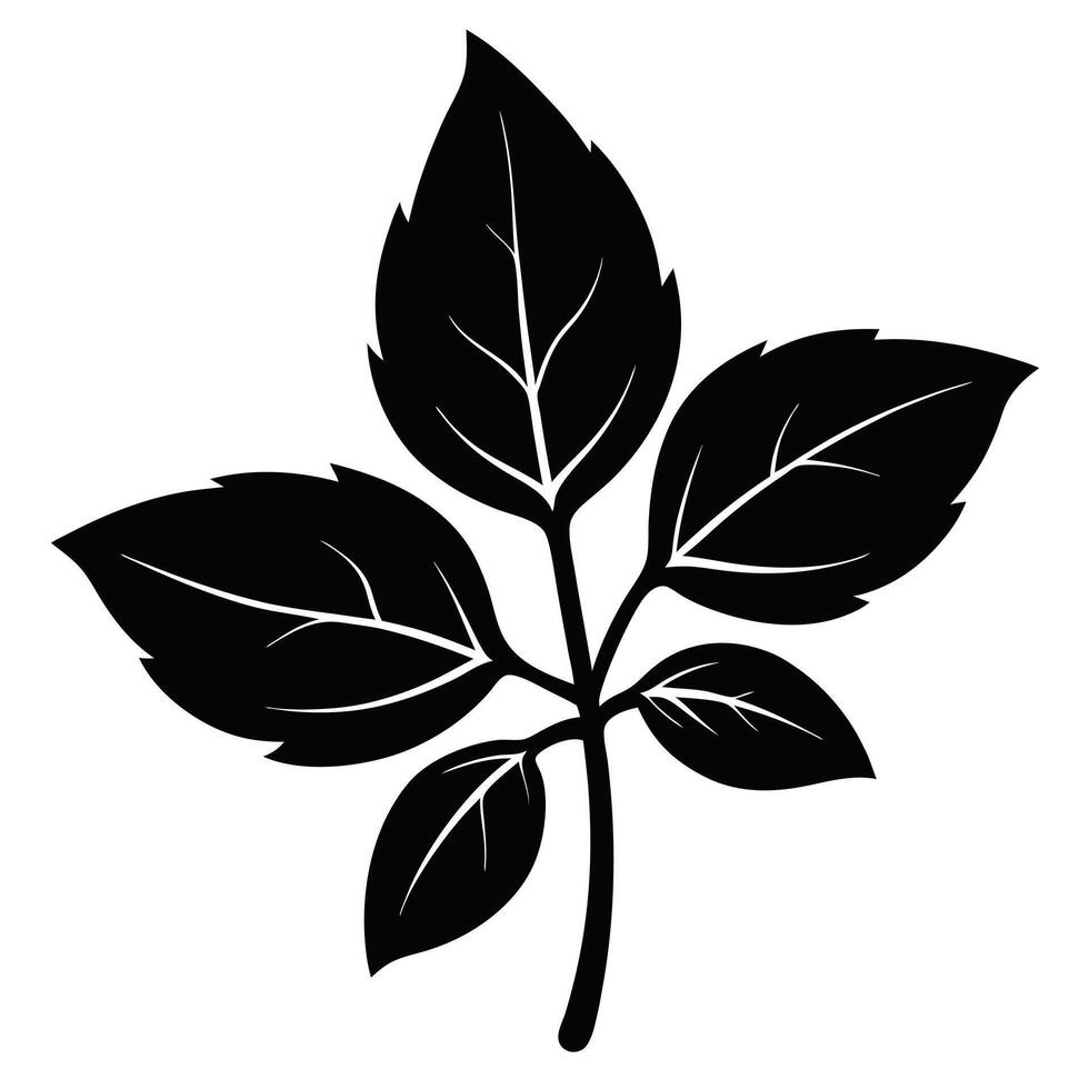 Black Botanical Leaf Foliage Illustration vector