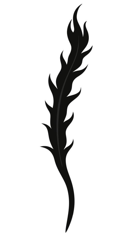 Black Feather Illustration Isolated vector