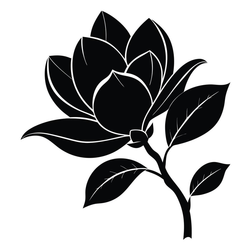Black Magnolia Flower Illustration vector