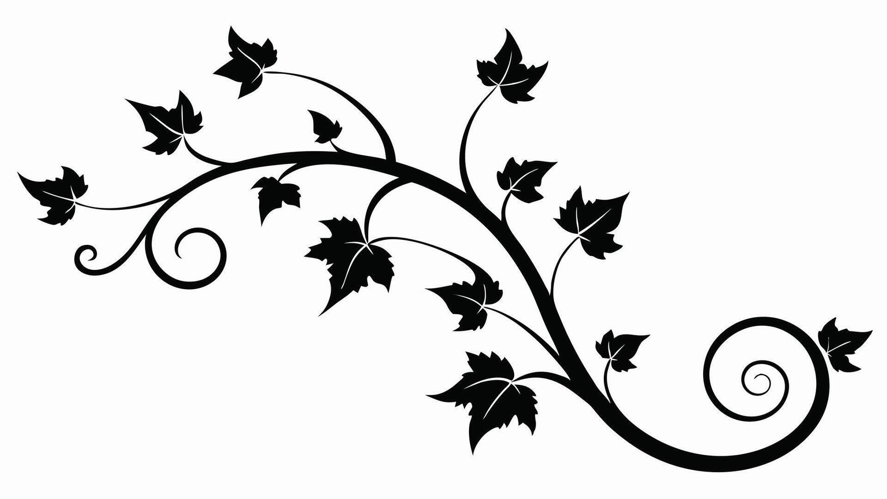 Black Ivy Branch Illustration vector
