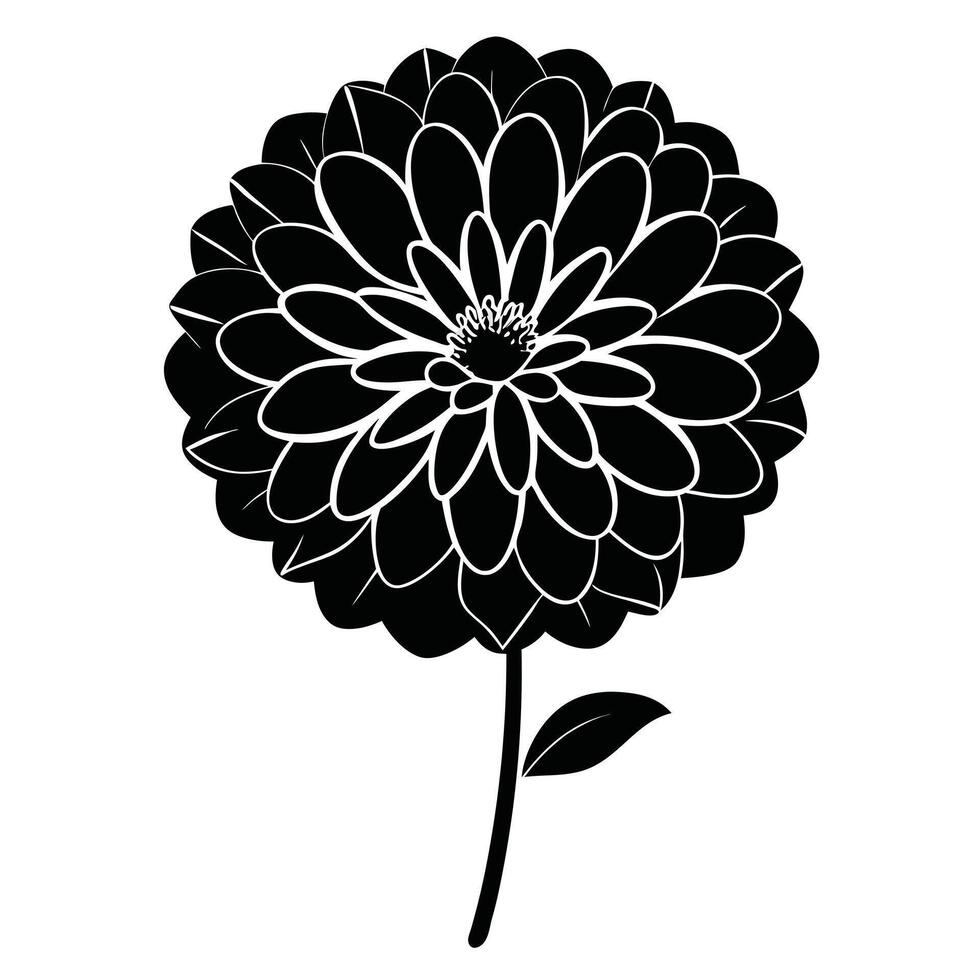 Dahlia Flower Black And White vector