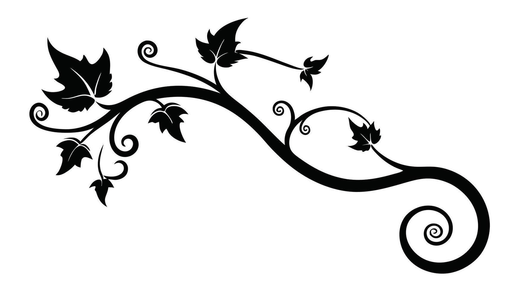 Elegant Vine And Leaves Black Silhouette vector