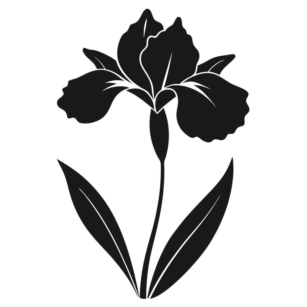 Iris Flower Black Silhouette Illustration vector