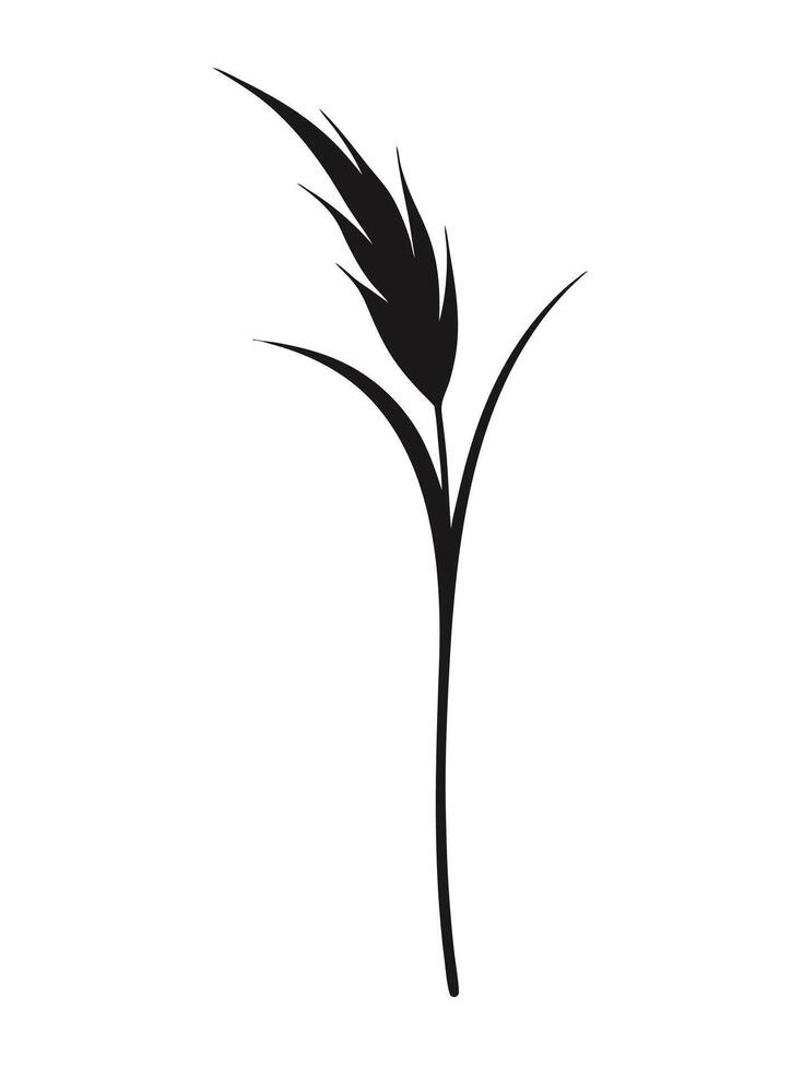 Reed Plant Black Silhouette Simple Design vector