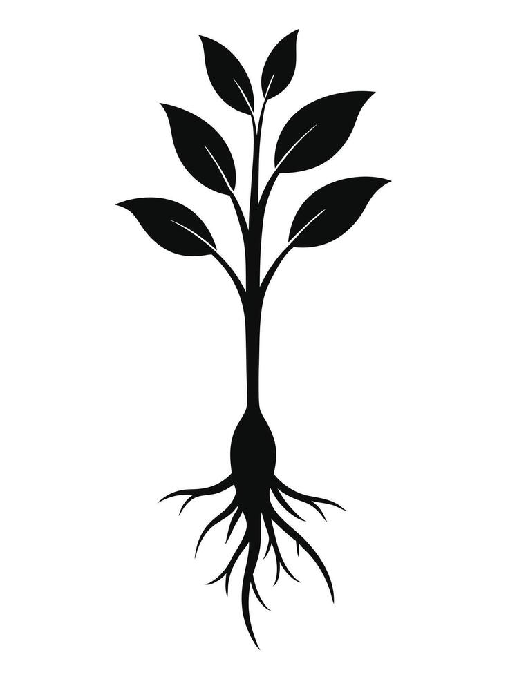 Plant With Roots Black Silhouette vector