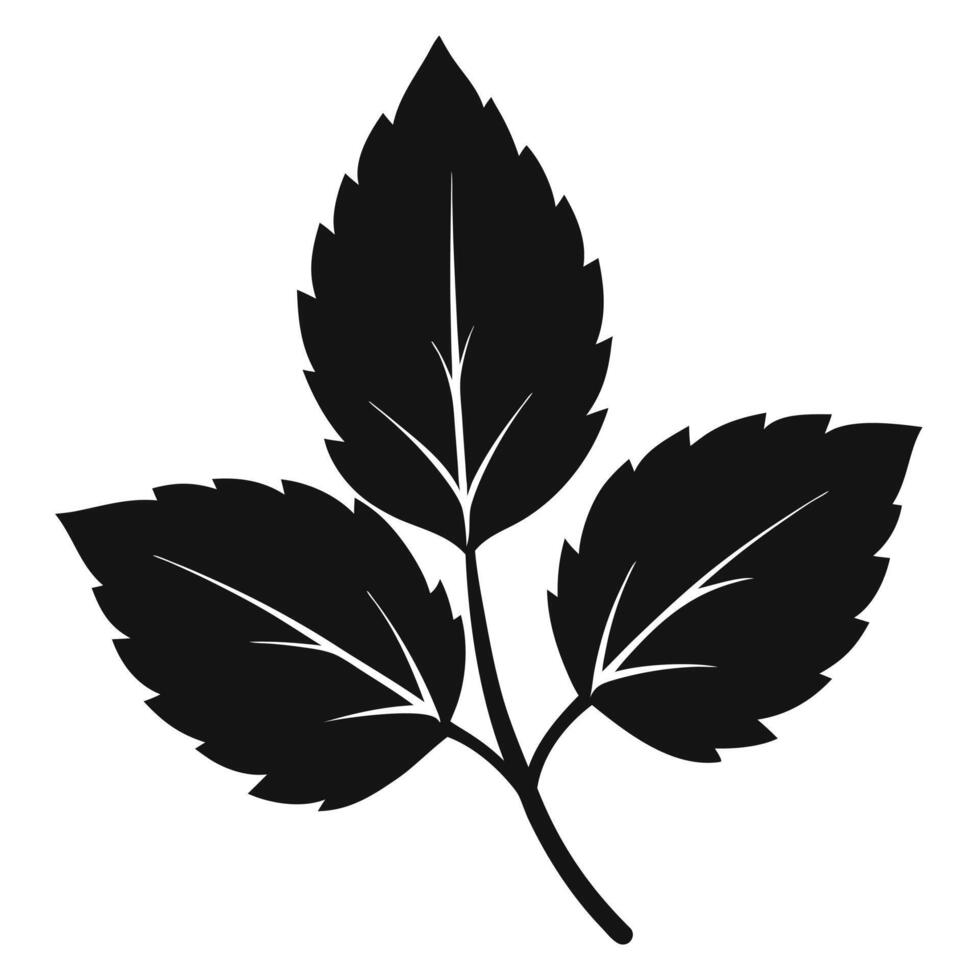 Silhouette Leaf Illustration In Format vector