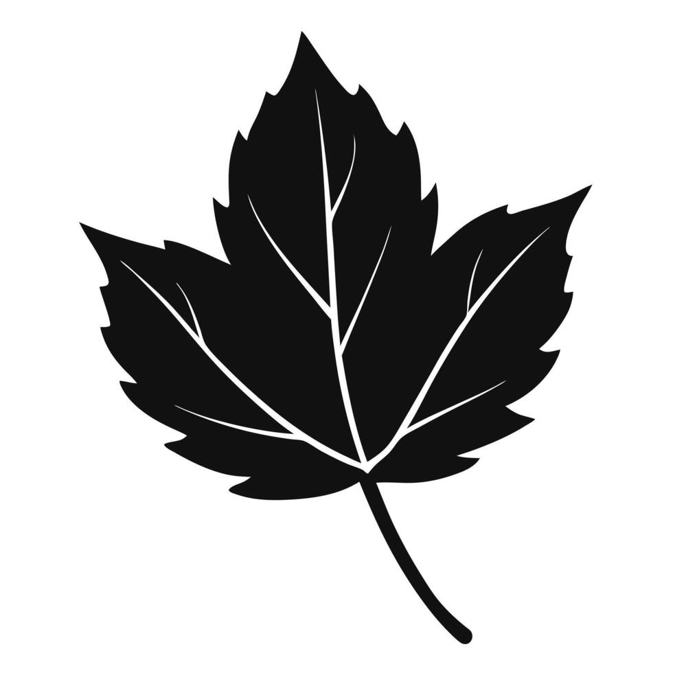Isolated Black And White Leaf vector