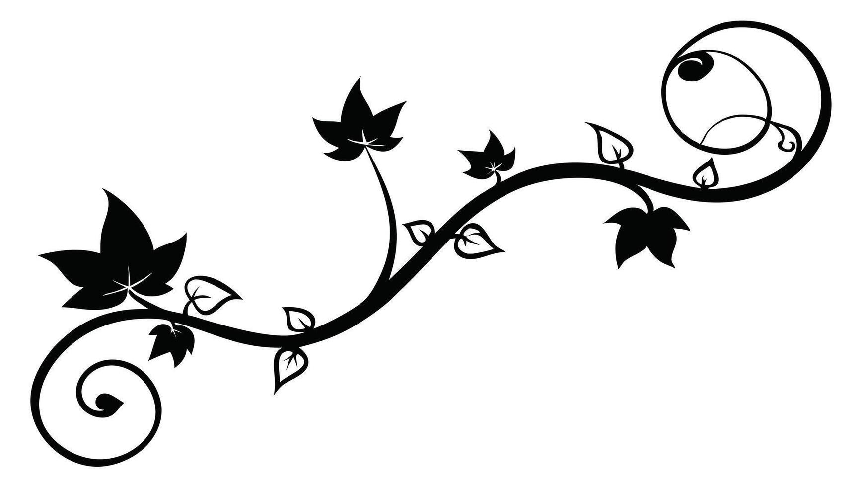 Ivy Vine Black Silhouette vector