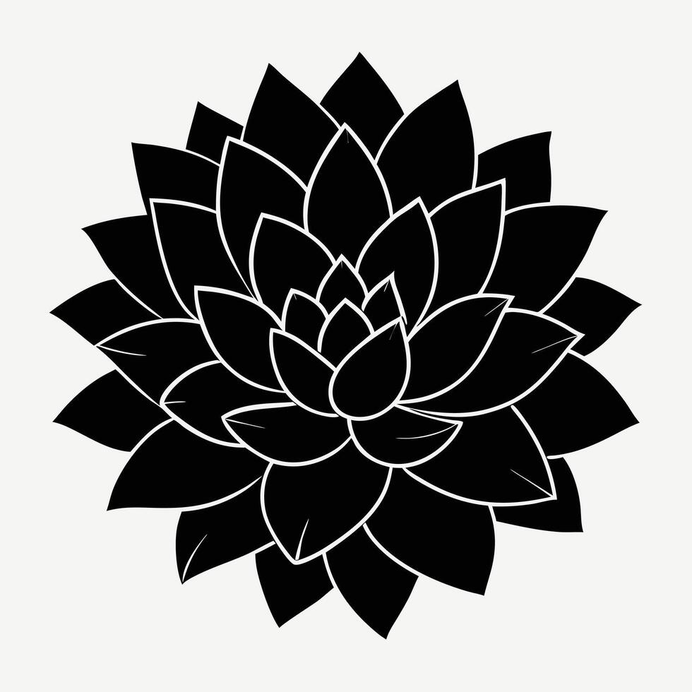 Monochrome Succulent Plant Isolated Graphic vector