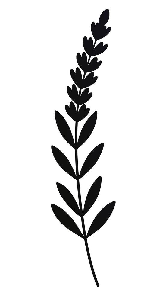 Minimalist Black Floral Branch Illustration vector