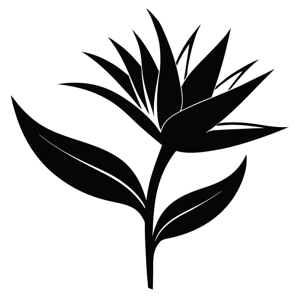 Bird Of Paradise Flower Silhouette Design vector