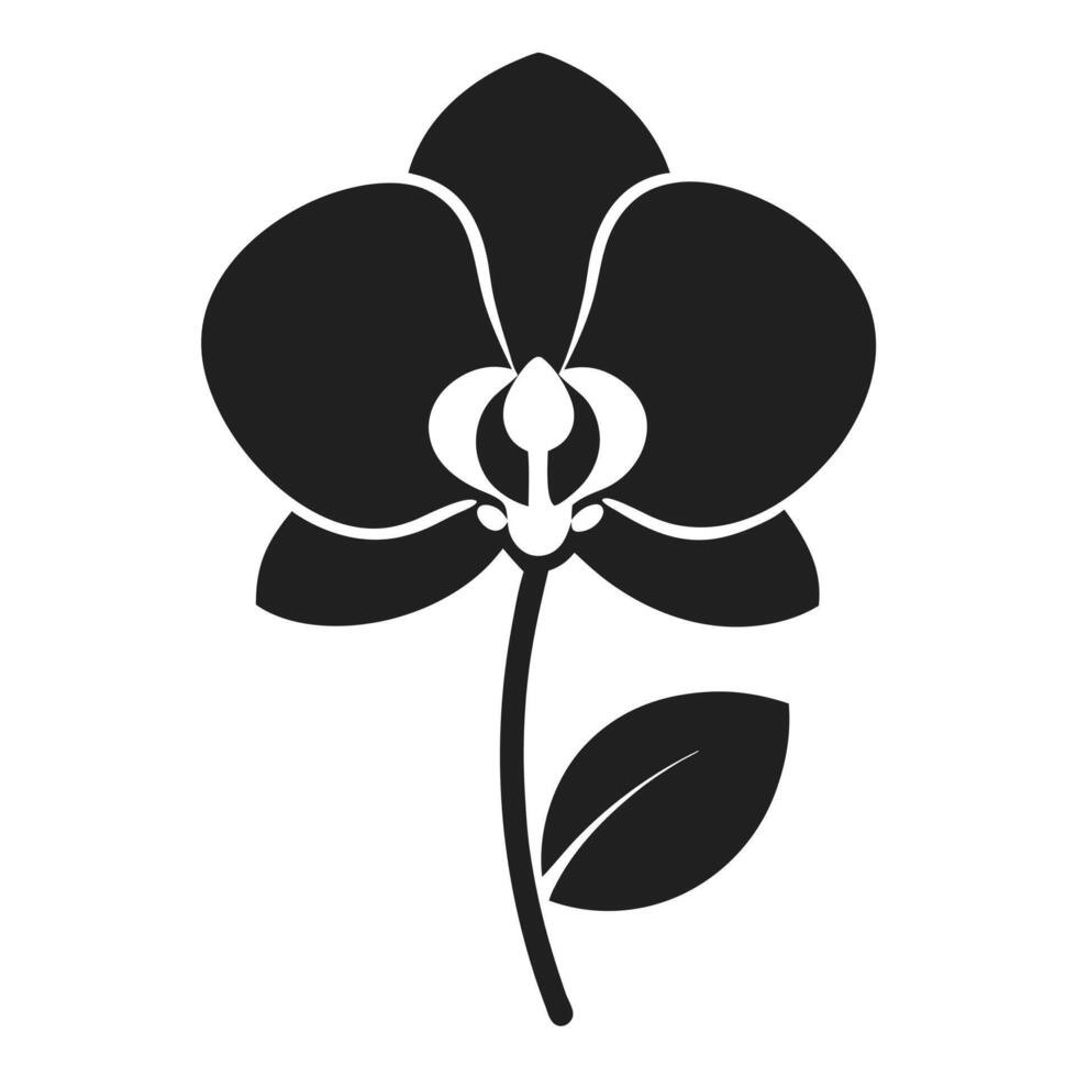 Simple Black Orchid Flower Illustration vector