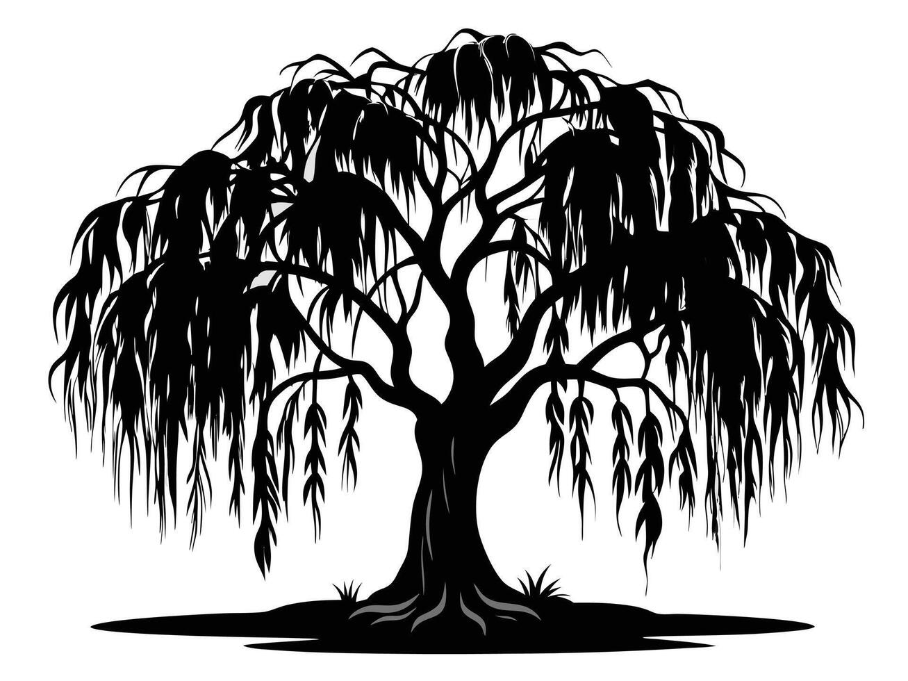 Weeping Willow Tree Black Silhouette vector