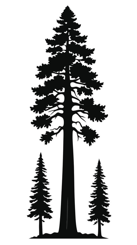 Silhouette Sequoia Trees Black And White vector