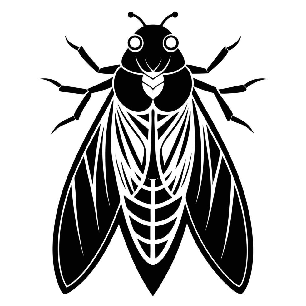 Black and white insect illustration vector