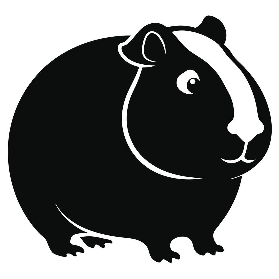 Black and white guinea pig illustration vector
