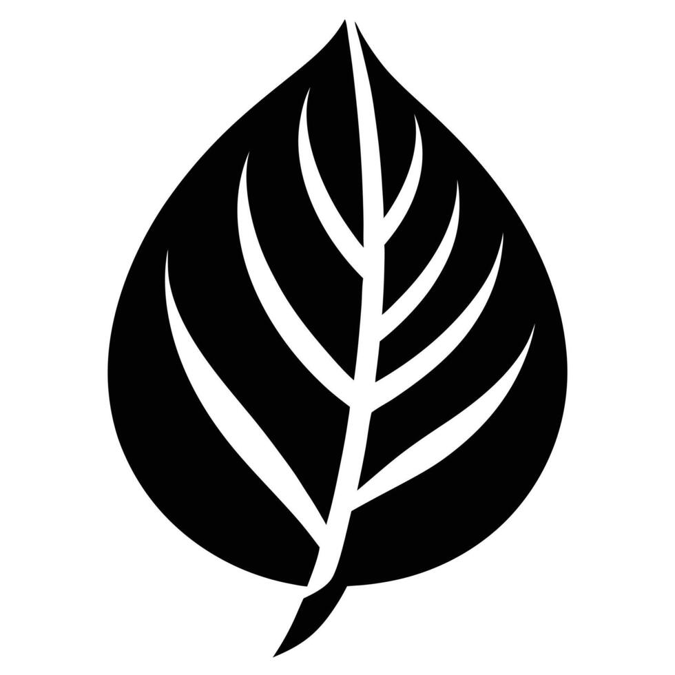 Black and white leaf Art vector