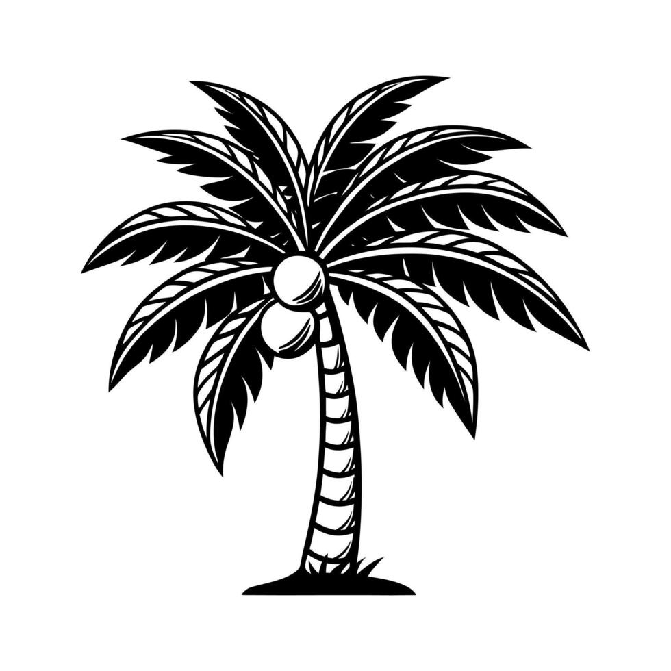 Palm or coconut trees vecto with white background.relaxation, peace, elegance concept. vector