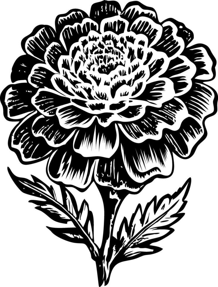A vintage style illustration showing a holy flower vector