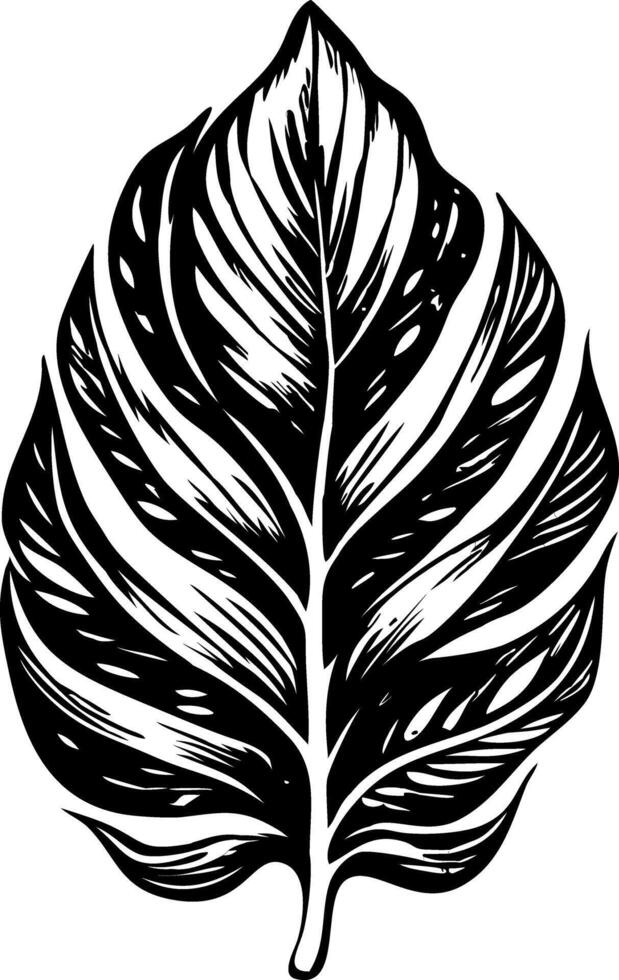 A vintage style illustration of a palm leaf vector
