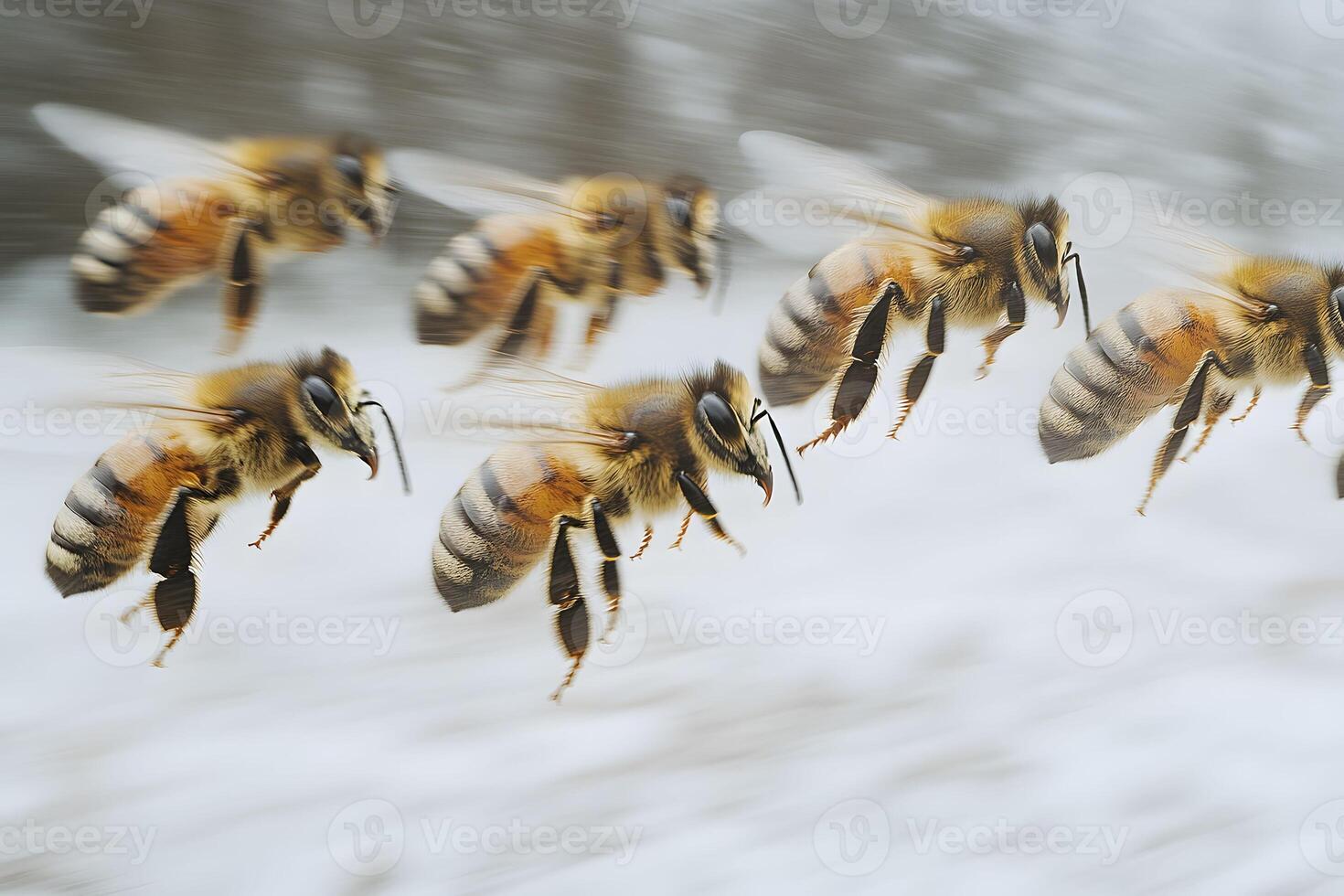 Flying Honey Bees in Motion - Nature and Wildlife Photography for Insect Enthusiasts photo