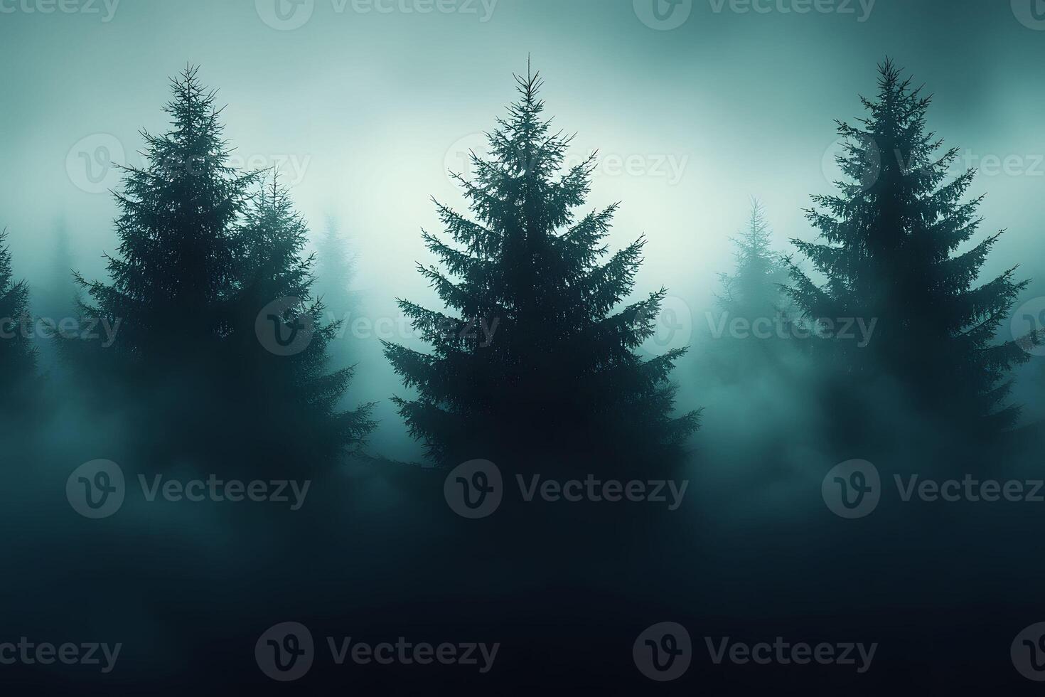 Misty Evergreen Forest at Dawn for Nature Photography and Posters photo