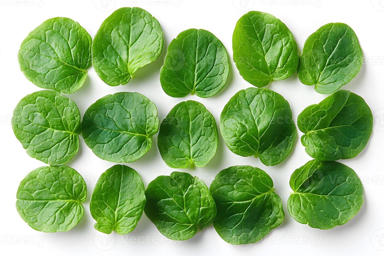 Fresh Green Leaves Pattern Display for Food and Health Design Projects photo