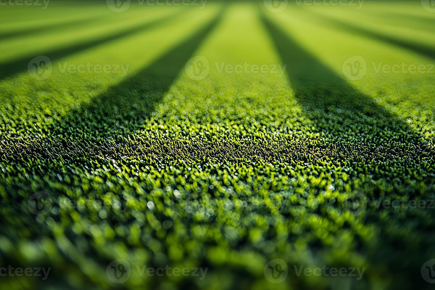 Sunny Day on Lush Green Field with Playful Shadows for Nature and Sports Concepts photo