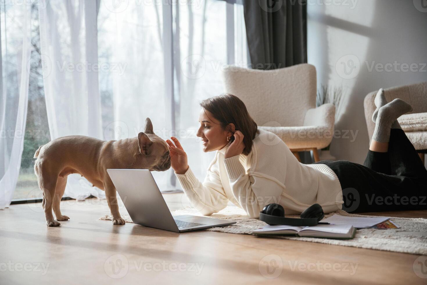 Cute pug ,,is, looking at his owner. Young ,woman with laptop at home photo